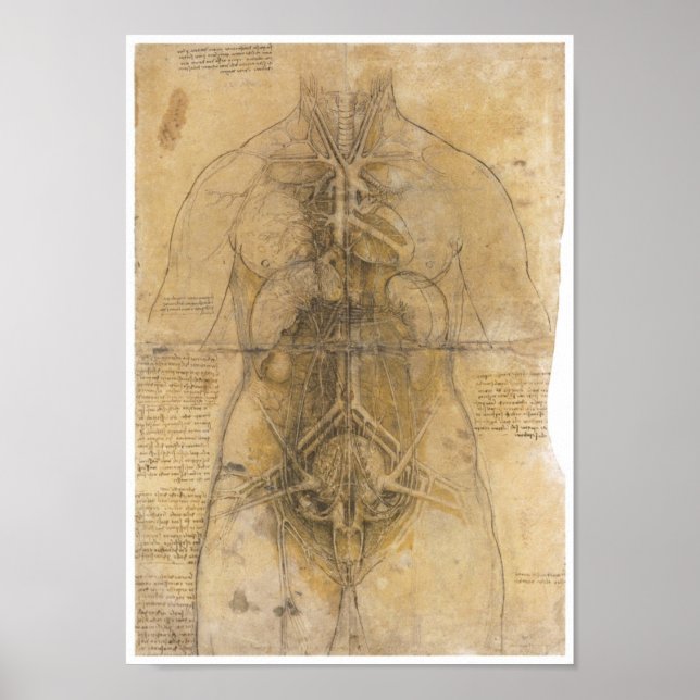 Póster Disección de los órganos de una mujer, Da Vinci (Frente)