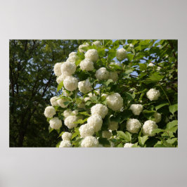 Póster Diseñado con una fotografía de Corea del Sur, impr