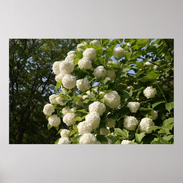 Póster Diseñado con una fotografía de Corea del Sur, impr (Frente)