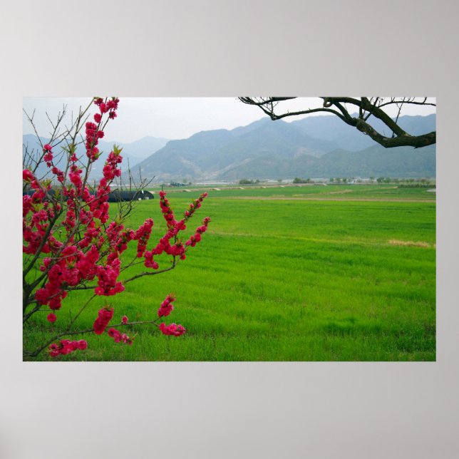 Póster Diseñado con una fotografía de Corea del Sur, impr (Frente)