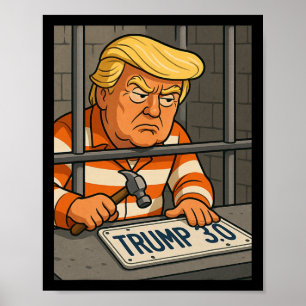 Póster Diseñador de matrículas Trump 3.0