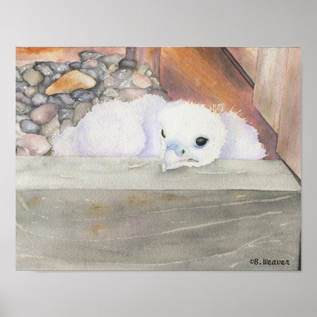 Póster Diseño B.Weaver Orion de 14" x 11" Poster (Frente)