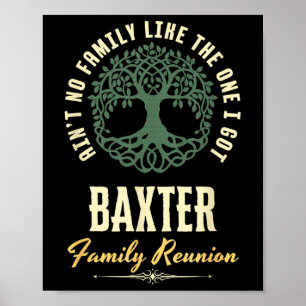 Póster Diseño coincidente de Family Reunion 2025 - Baxter