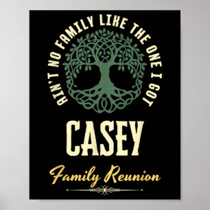 Póster Diseño coincidente de Family Reunion 2025 - Casey