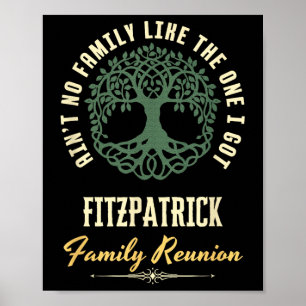 Póster Diseño coincidente de Family Reunion 2025 - Fitzpa