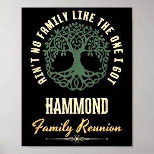 Póster Diseño coincidente de Family Reunion 2025 - Hammon
