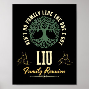 Póster Diseño coincidente de Family Reunion 2025 - Liu