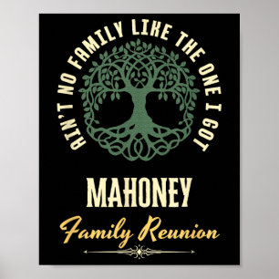 Póster Diseño coincidente de Reunión Familiar 2025 - Maho