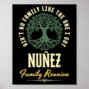 Póster Diseño coincidente de Reunión Familiar 2025 - Núñe