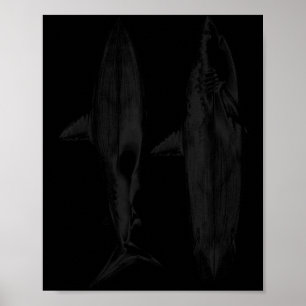 Póster Diseño de aleta de tabla de surf de tiburón surfis