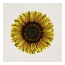 Diseño de arte botánico Vivid Sunflower