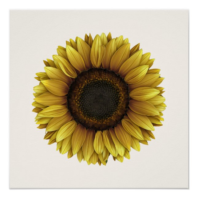 Póster Diseño de arte botánico Vivid Sunflower (Anverso)