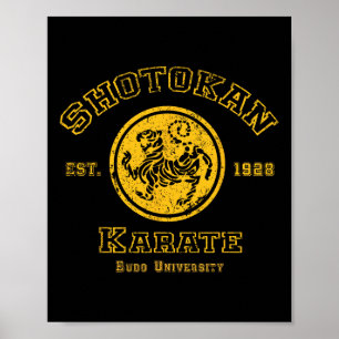 Póster Diseño de Artes Marciales de la Universidad Shotok