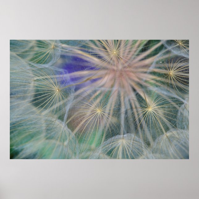 Póster Diseño de cabeza de semilla | Gennesse, Idaho (Frente)