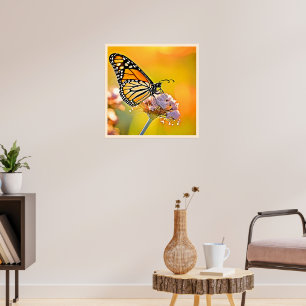 Póster Diseño de cierre de mariposa majestuosa