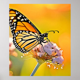 Póster Diseño de cierre de mariposa majestuosa