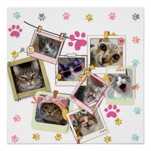 Póster Diseño de collages de gatos lindo y divertido