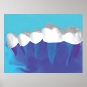Póster Diseño de dientes blancos Poster ortodoncista
