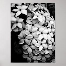 Póster Diseño de flores y jardines vintage
