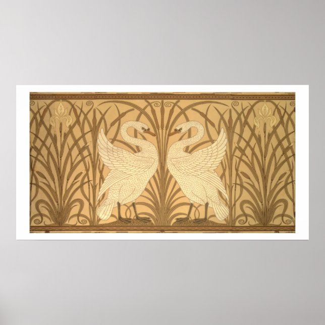 Póster Diseño de fondo de pantalla de cisne (Frente)