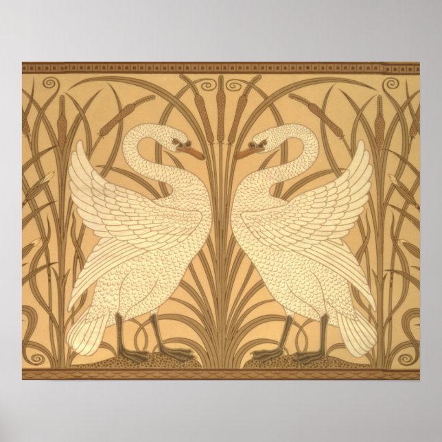 Póster Diseño de fondo de pantalla de cisne (Frente)