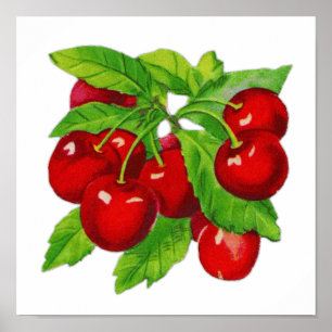 Póster Diseño De Fruta De Cerezo Vintage Excelente Para C