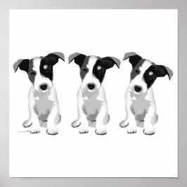 Póster Diseño de la colección Roseplatine®