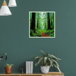 Póster Diseño de maleza de bosque de secuoya