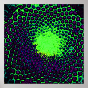 Póster Diseño de panal de abeja abstracto verde y morado