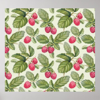 Póster Diseño de patrón sin foco de frambuesa de color ag