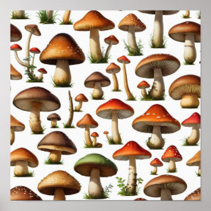 Póster Diseño de patrones de colección de hongos