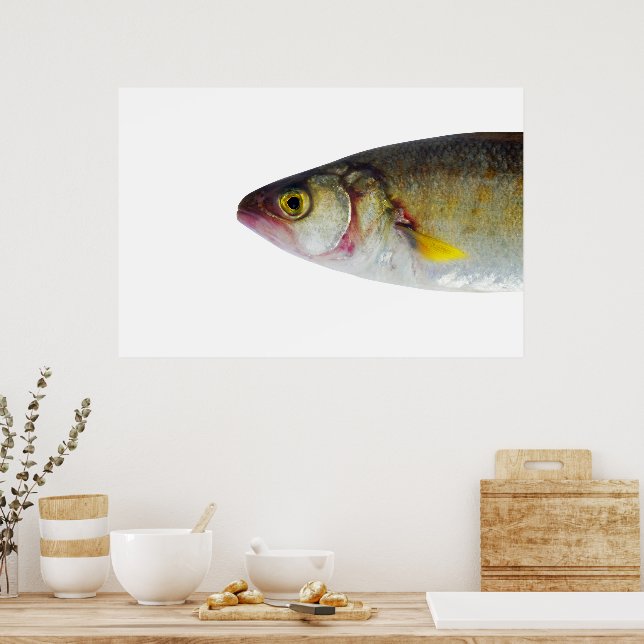 Póster Diseño de peces (Cocina)