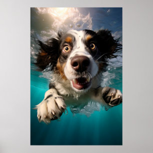 Póster Diseño de perro emocionado nadando bajo el agua