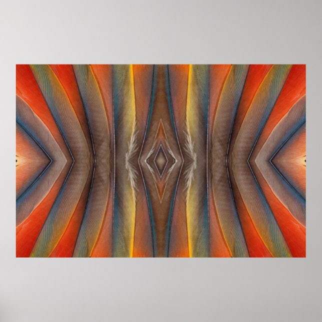 Póster Diseño de plumas de Scarlet Macaw (Frente)