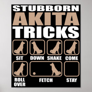 Póster Diseño de Stubborn Akita Tricks