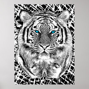 Póster Diseño de tigre de ojos azules negros y blancos