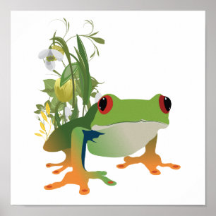Póster diseño de vectores de rana tropical