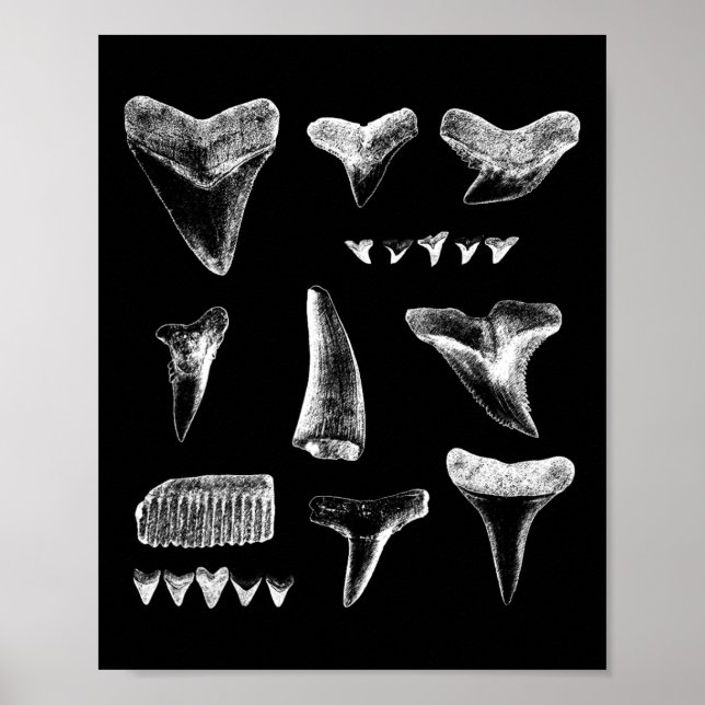 Póster Diseño divertido de dientes de tiburón para hombre (Frente)