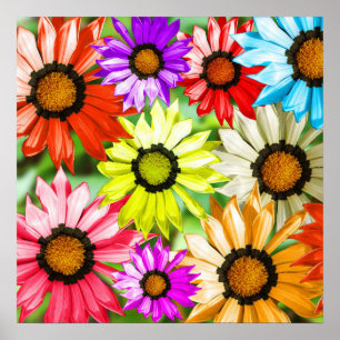 Póster Diseño floral de gerbera colorido