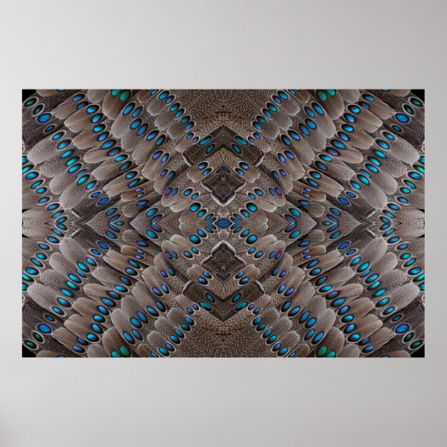 Póster Diseño Fractal Pluma de Faisán (Frente)