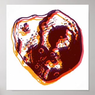 Póster Diseño Psiquiátrico 1 Poster