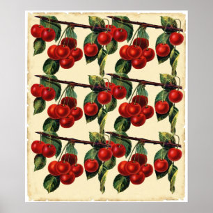 Póster Diseño rojo antiguo del papel pintado de la fruta