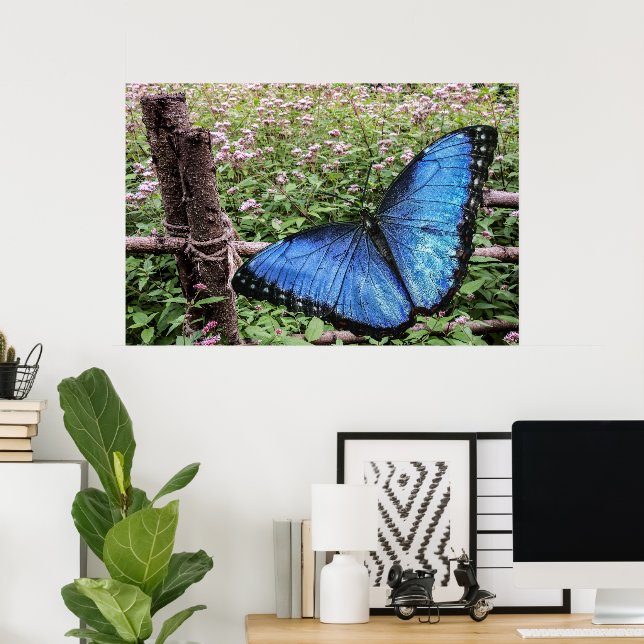 Póster Diseño rústico de mariposa morfa azul (Oficina en casa)
