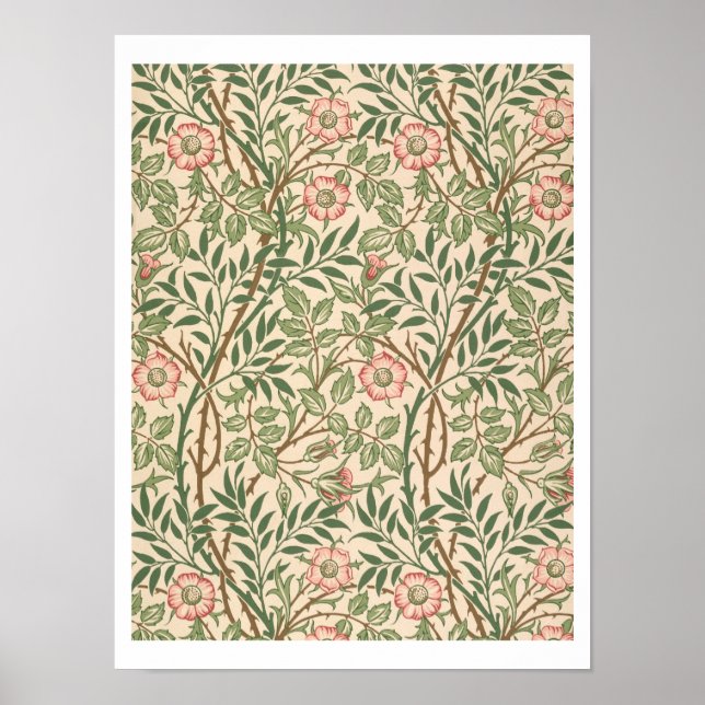 Póster Diseño "Sweet Briar" para papel pintado por Joh (Frente)