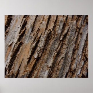 Póster Diseño textil de barbilla de árbol I Resumen natur