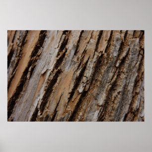 Póster Diseño Texturizado Abstracto Natural Corteza de Ár