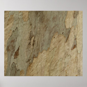 Póster Diseño Texturizado Abstracto Natural Corteza de Ár