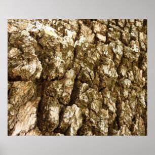 Póster Diseño Texturizado Natural de Corteza de Árbol II