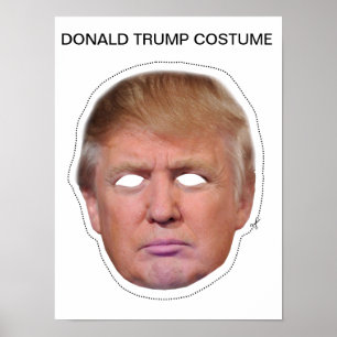 Póster Disfraz de Donald Trump