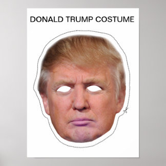 Póster Disfraz de Donald Trump